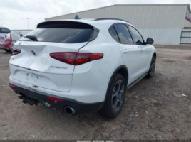 Alfa Romeo Stelvio | 3