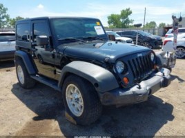 Jeep Wrangler visureigis