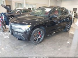 Alfa Romeo Stelvio, Внедорожник | 1