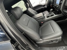 Ford F-150, 4.9 l., pikapas | 4