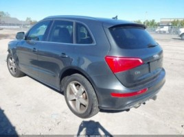 Audi Q5, cross-country | 2