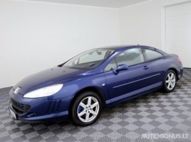Peugeot 407 | 1