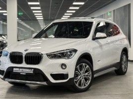 BMW X1 cross-country