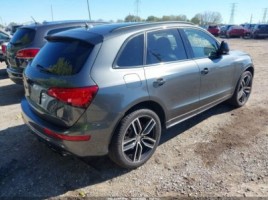 Audi SQ5, cross-country | 2