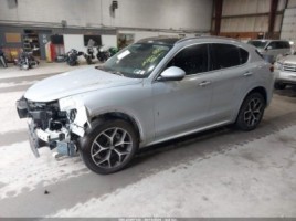 Alfa Romeo Stelvio, cross-country | 1