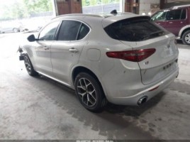 Alfa Romeo Stelvio, cross-country | 2