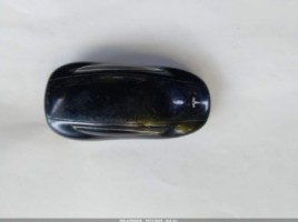 Tesla Model X universalas