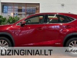 Lexus NX 300h, 2.5 l., cross-country | 3