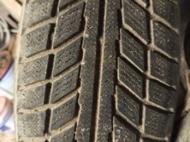 Belshina padangos | 1