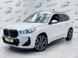BMW X1 cross-country