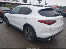 Alfa Romeo Stelvio, visureigis | 2