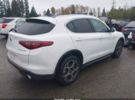 Alfa Romeo Stelvio, visureigis | 3