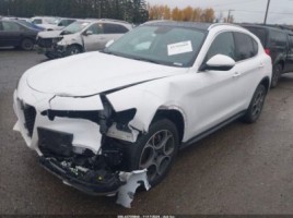 Alfa Romeo Stelvio, visureigis | 1