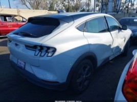 Ford Mustang, visureigis | 3