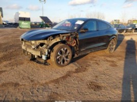 Ford Mustang, visureigis | 1