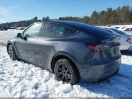 Tesla Model Y | 2