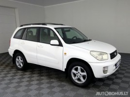Toyota RAV4 cross-country