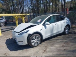 Tesla Model Y | 1