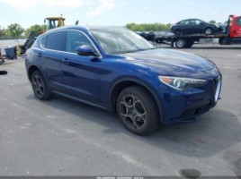 Alfa Romeo Stelvio cross-country