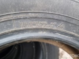 Falken Espia žieminės padangos | 2