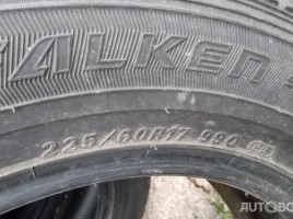 Falken Espia žieminės padangos | 3