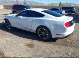 Ford Mustang | 2