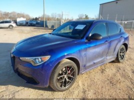 Alfa Romeo Stelvio, visureigis | 1